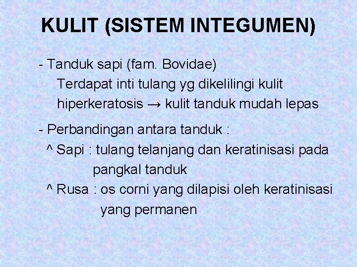 KULIT (SISTEM INTEGUMEN) - Tanduk sapi (fam. Bovidae) Terdapat inti tulang yg dikelilingi kulit