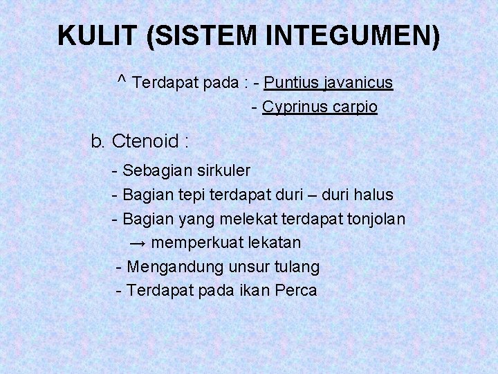 KULIT (SISTEM INTEGUMEN) ^ Terdapat pada : - Puntius javanicus - Cyprinus carpio b.