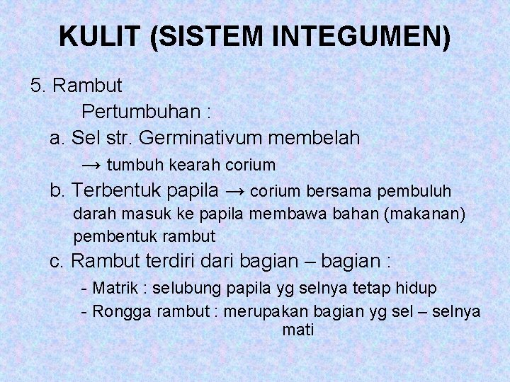 KULIT (SISTEM INTEGUMEN) 5. Rambut Pertumbuhan : a. Sel str. Germinativum membelah → tumbuh