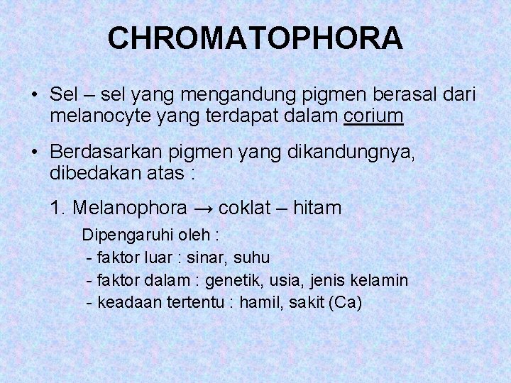 CHROMATOPHORA • Sel – sel yang mengandung pigmen berasal dari melanocyte yang terdapat dalam