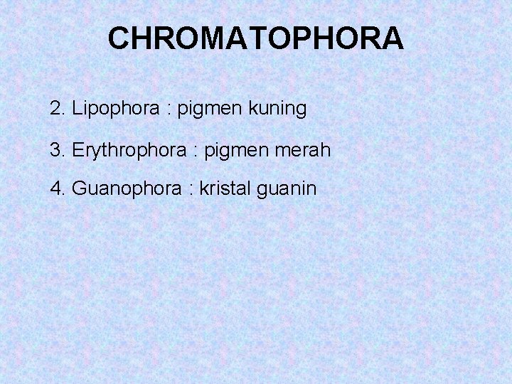 CHROMATOPHORA 2. Lipophora : pigmen kuning 3. Erythrophora : pigmen merah 4. Guanophora :