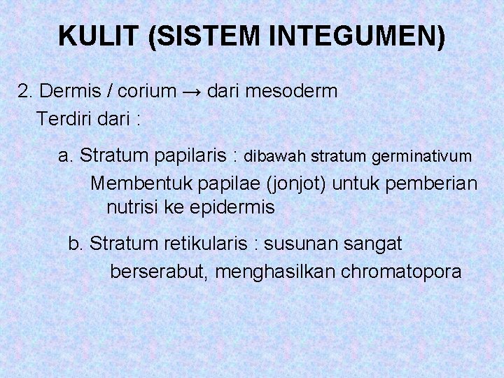 KULIT (SISTEM INTEGUMEN) 2. Dermis / corium → dari mesoderm Terdiri dari : a.