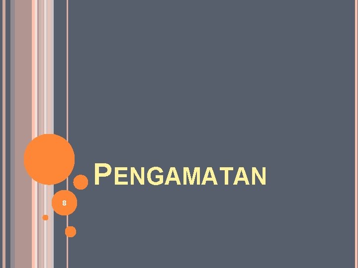 PENGAMATAN 8 
