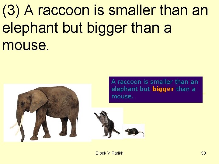 (3) A raccoon is smaller than an elephant but bigger than a mouse. Dipak