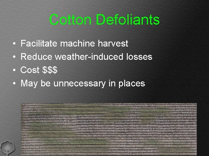 Estimating Cotton Defoliation with Remote Sensing Glen Ritchie