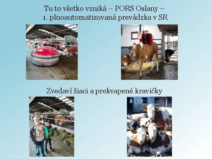 Tu to všetko vzniká – PORS Oslany – 1. plnoautomatizovaná prevádzka v SR Zvedaví