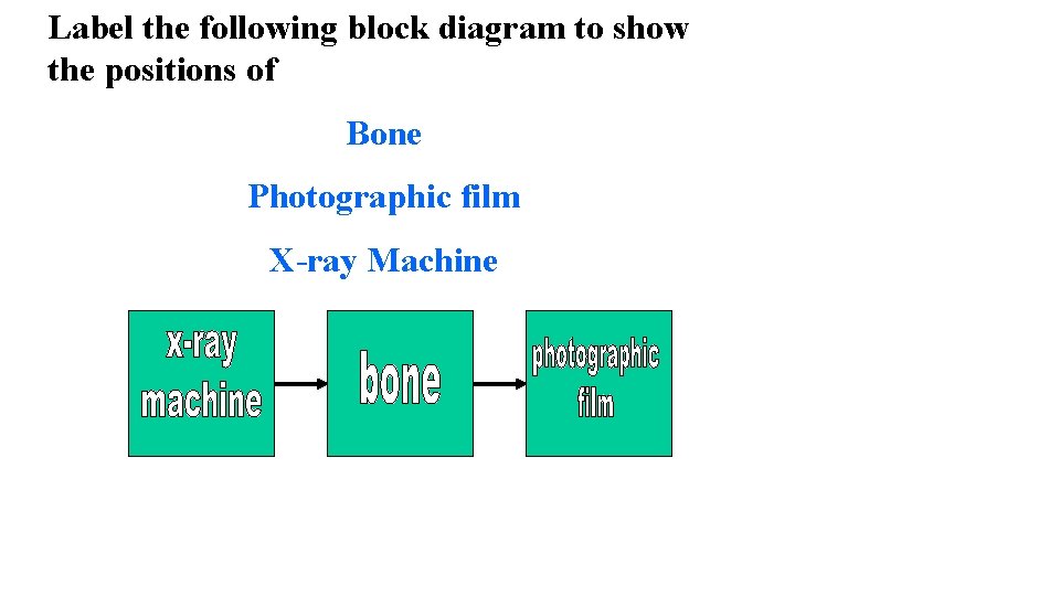 Label the following block diagram to show the positions of Bone Photographic film X-ray