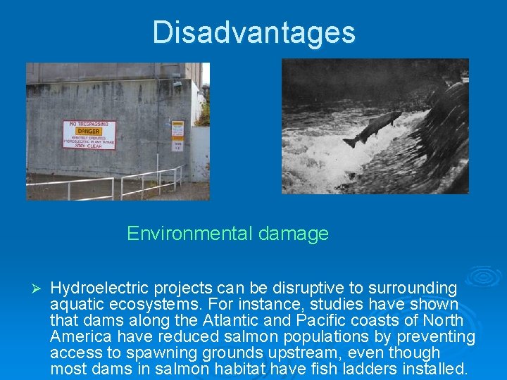 Disadvantages Environmental damage Ø Hydroelectric projects can be disruptive to surrounding aquatic ecosystems. For