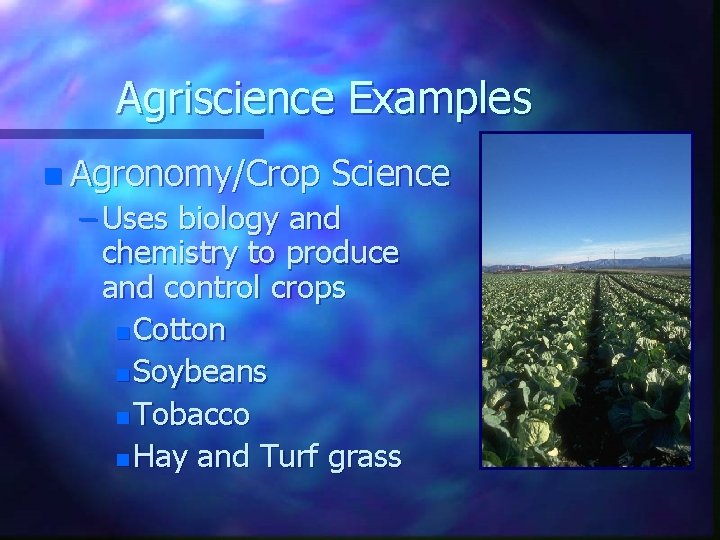 Agriscience Examples n Agronomy/Crop Science – Uses biology and chemistry to produce and control