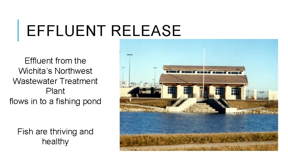 EFFLUENT RELEASE Effluent from the Wichita’s Northwest Wastewater Treatment Plant flows in to a