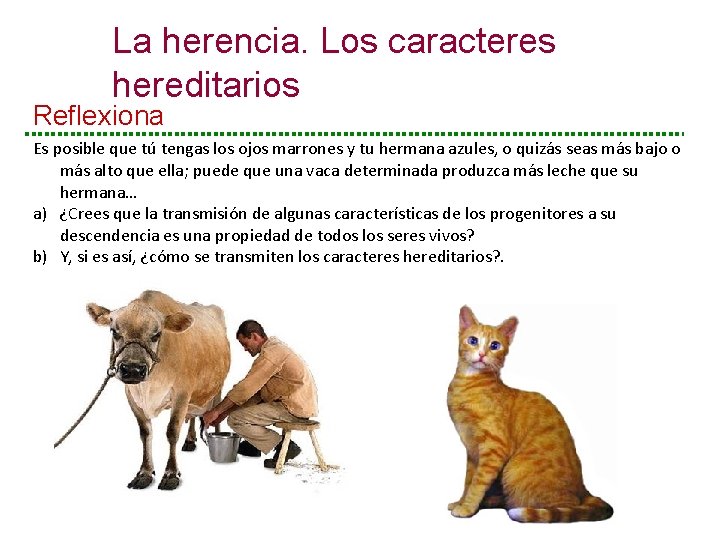 La herencia. Los caracteres hereditarios Reflexiona Es posible que tú tengas los ojos marrones