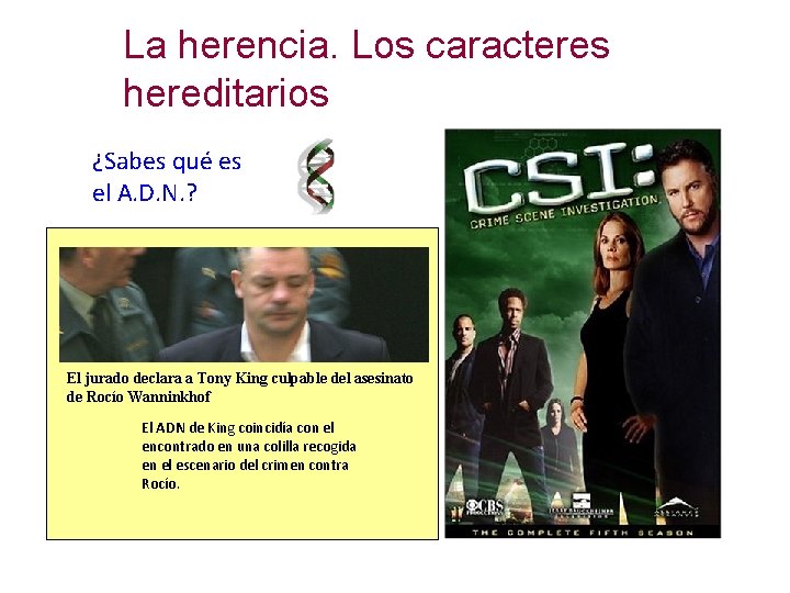 La herencia. Los caracteres hereditarios ¿Sabes qué es el A. D. N. ? El