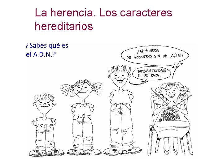 La herencia. Los caracteres hereditarios ¿Sabes qué es el A. D. N. ? 