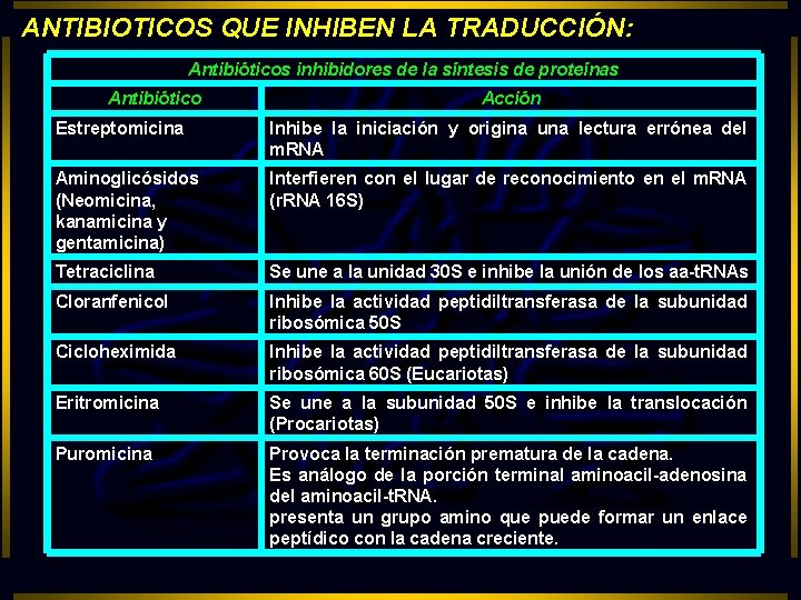 ANTIBIOTICOS QUE INHIBEN LA TRADUCCIÓN: Antibióticos inhibidores de la síntesis de proteínas Antibiótico Acción