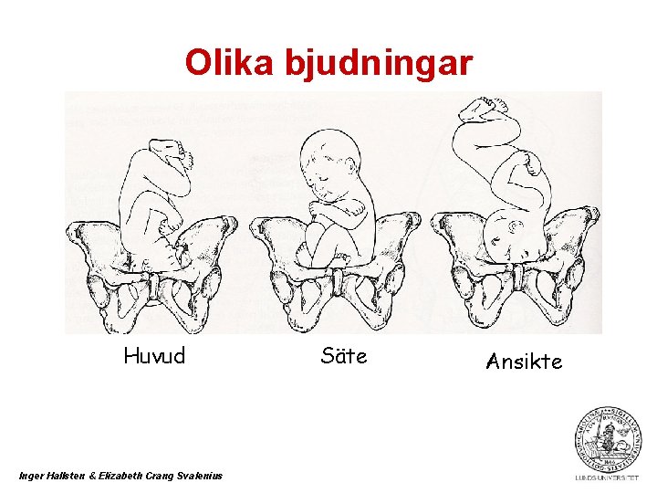 Olika bjudningar Huvud Inger Hallsten & Elizabeth Crang Svalenius Säte Ansikte 