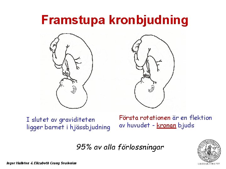 Framstupa kronbjudning I slutet av graviditeten ligger barnet i hjässbjudning Första rotationen är en