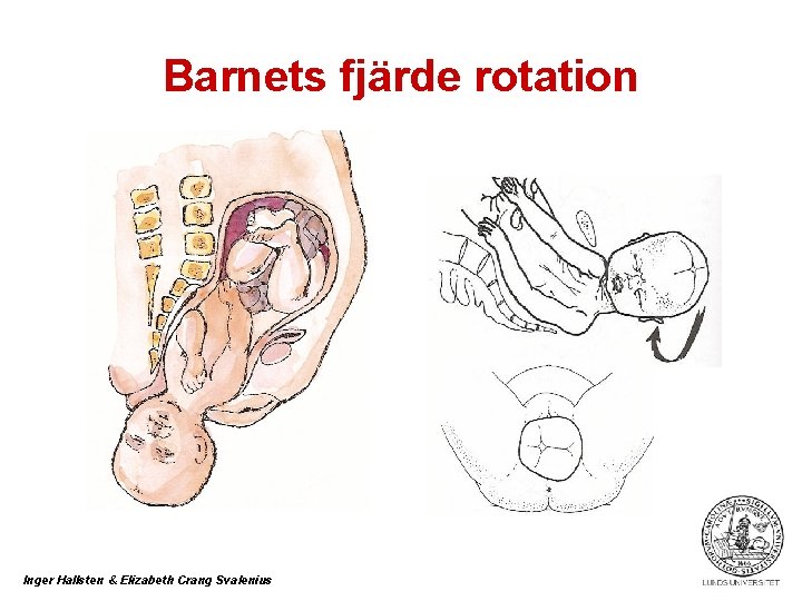 Barnets fjärde rotation Inger Hallsten & Elizabeth Crang Svalenius 