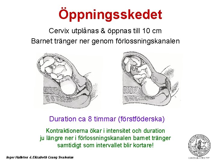 Öppningsskedet Cervix utplånas & öppnas till 10 cm Barnet tränger ner genom förlossningskanalen Duration