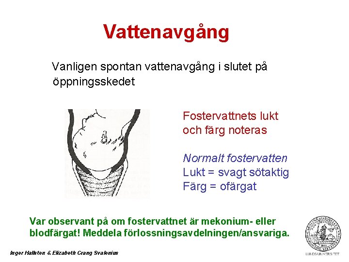 Vattenavgång Vanligen spontan vattenavgång i slutet på öppningsskedet Fostervattnets lukt och färg noteras Normalt