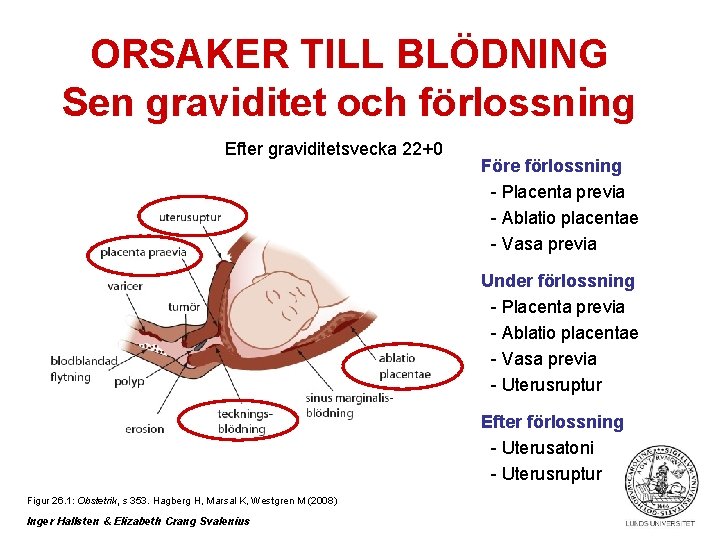 ORSAKER TILL BLÖDNING Sen graviditet och förlossning Efter graviditetsvecka 22+0 Före förlossning - Placenta