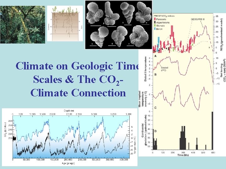 Climate on Geologic Time Scales & The CO 2 Climate Connection Climate on Geologic Time Scales & The CO 2 Climate Connection