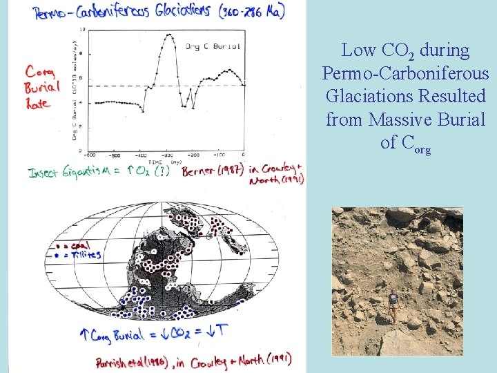 Low CO 2 during Permo-Carboniferous Glaciations Resulted from Massive Burial of Corg Low CO 2 during Permo-Carboniferous Glaciations Resulted from Massive Burial of Corg