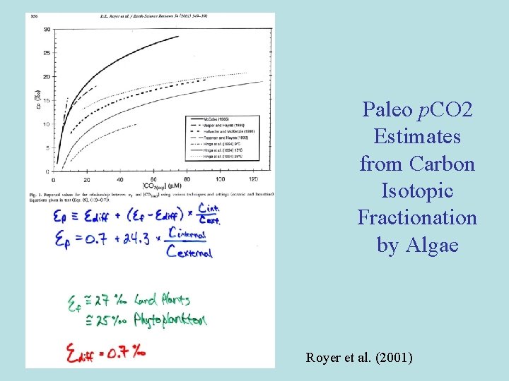 Paleo p. CO 2 Estimates from Carbon Isotopic Fractionation by Algae Royer et al. Paleo p. CO 2 Estimates from Carbon Isotopic Fractionation by Algae Royer et al.