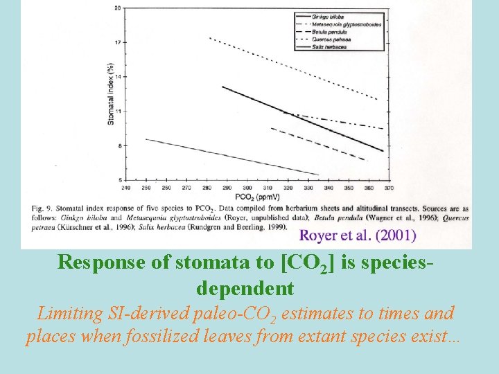 Response of stomata to [CO 2] is speciesdependent Limiting SI-derived paleo-CO 2 estimates to