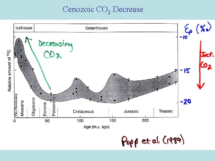 Cenozoic CO 2 Decrease Cenozoic CO 2 Decrease