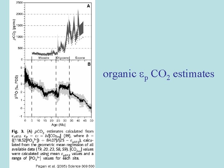 organic p CO 2 estimates organic p CO 2 estimates