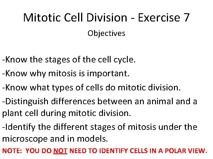 Mitotic Cell Division - Exercise 7 Objectives -Know the stages of the cell cycle.