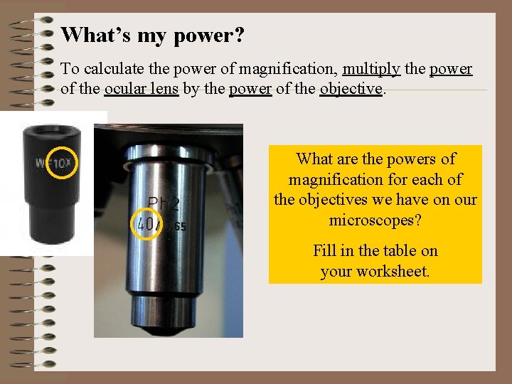 What’s my power? To calculate the power of magnification, multiply the power of the