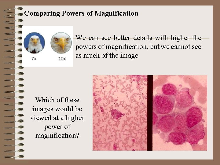 Comparing Powers of Magnification We can see better details with higher the powers of