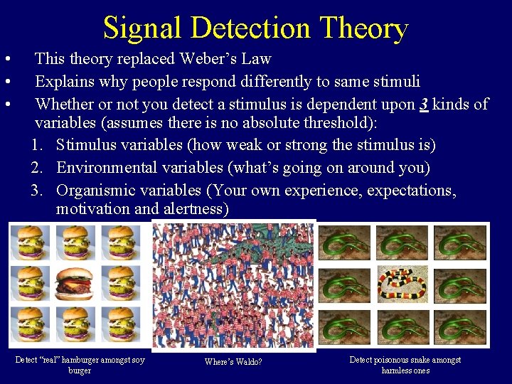 Signal Detection Theory • • • This theory replaced Weber’s Law Explains why people