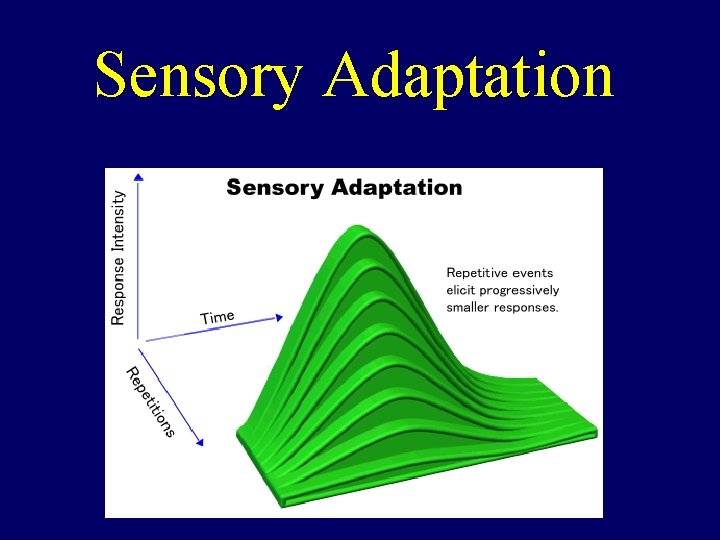 Sensory Adaptation 
