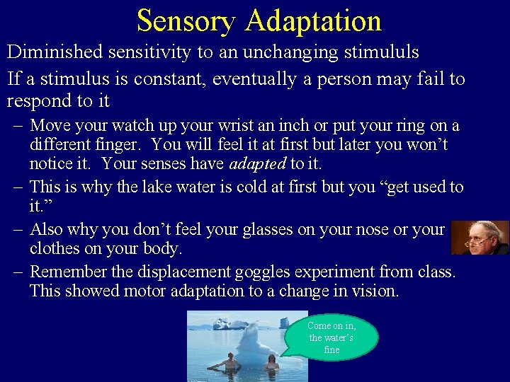 Sensory Adaptation Diminished sensitivity to an unchanging stimululs If a stimulus is constant, eventually