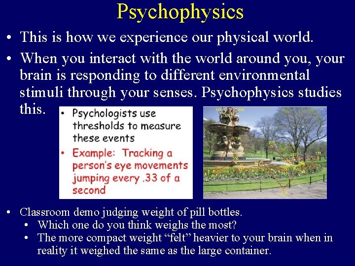 Psychophysics • This is how we experience our physical world. • When you interact