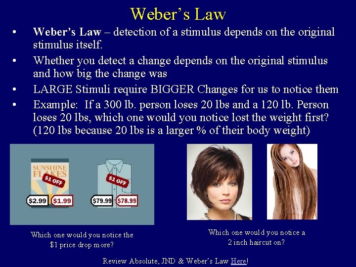Weber’s Law • • Weber’s Law – detection of a stimulus depends on the