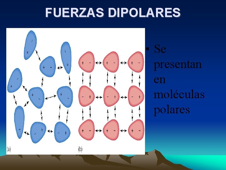 FUERZAS DIPOLARES • Se presentan en moléculas polares FUERZAS DIPOLARES • Se presentan en moléculas polares