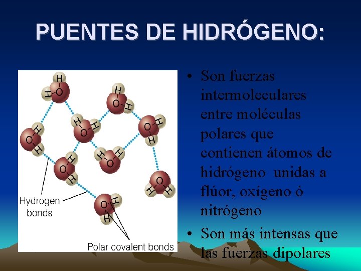 PUENTES DE HIDRÓGENO: • Son fuerzas intermoleculares entre moléculas polares que contienen átomos de PUENTES DE HIDRÓGENO: • Son fuerzas intermoleculares entre moléculas polares que contienen átomos de