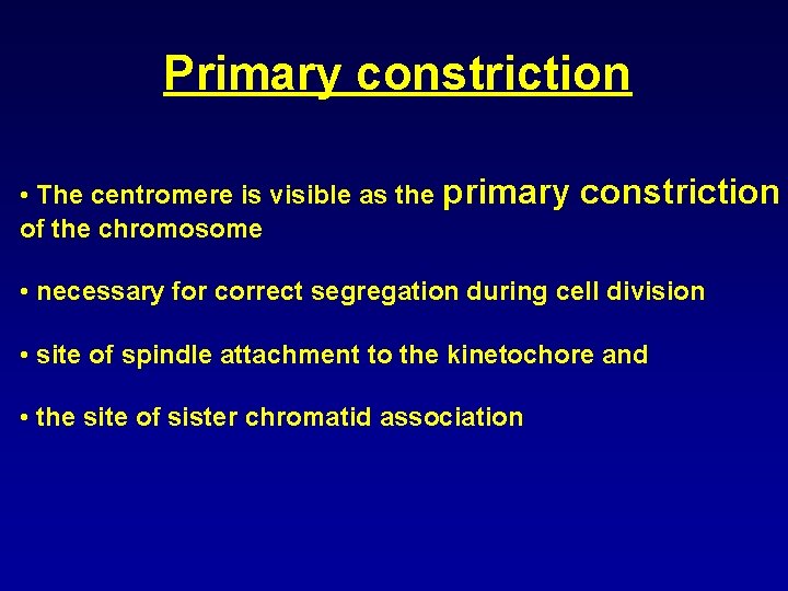 Primary constriction • The centromere is visible as the primary constriction of the chromosome
