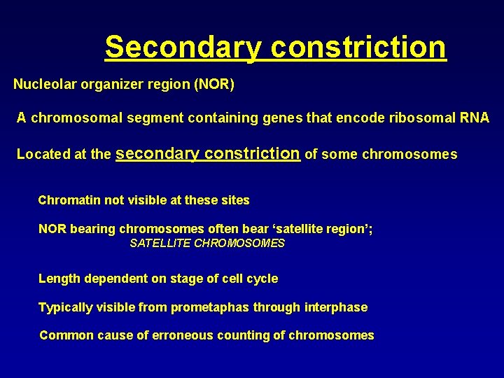 Secondary constriction Nucleolar organizer region (NOR) A chromosomal segment containing genes that encode ribosomal