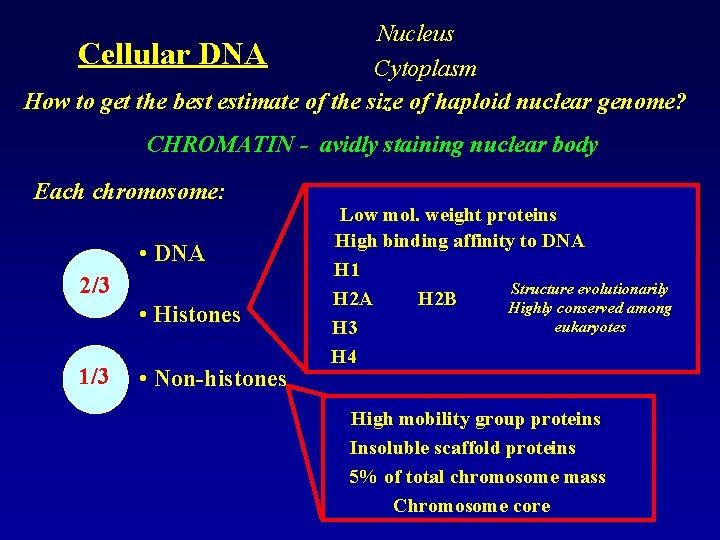 Nucleus Cellular DNA Cytoplasm How to get the best estimate of the size of
