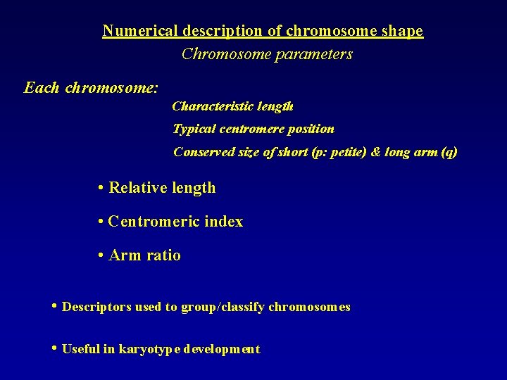 Numerical description of chromosome shape Chromosome parameters Each chromosome: Characteristic length Typical centromere position