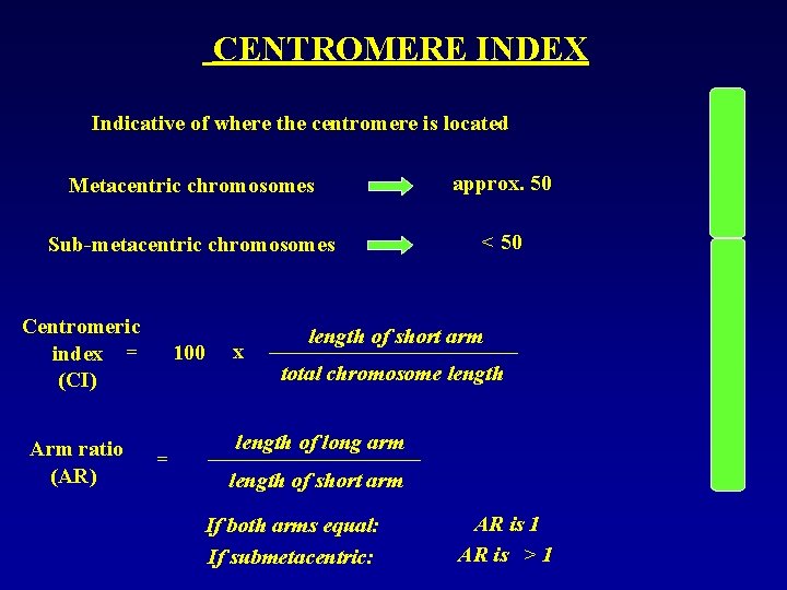 CENTROMERE INDEX Indicative of where the centromere is located Metacentric chromosomes approx. 50 Sub-metacentric