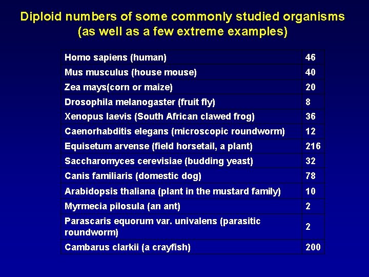 Diploid numbers of some commonly studied organisms (as well as a few extreme examples)