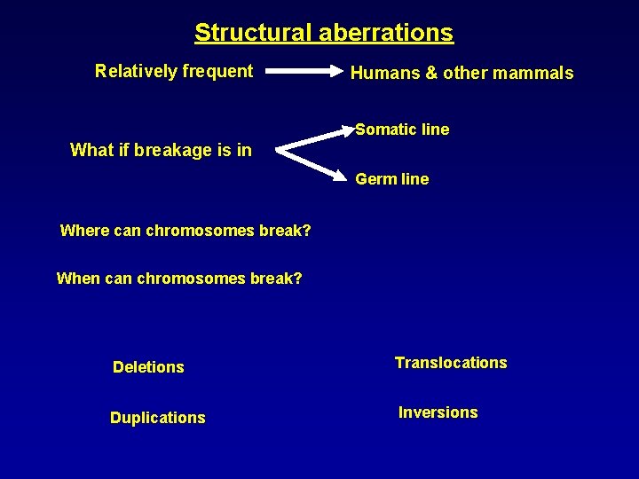 Structural aberrations Relatively frequent Humans & other mammals Somatic line What if breakage is
