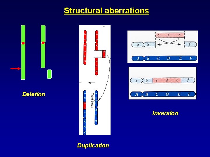 Structural aberrations Deletion Inversion Duplication 