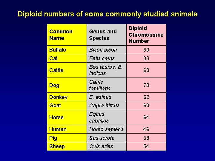 Diploid numbers of some commonly studied animals Common Name Genus and Species Diploid Chromosome