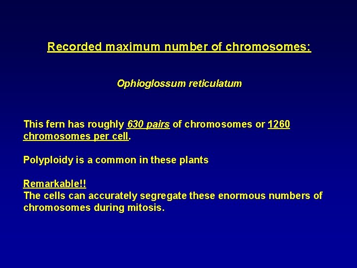 Recorded maximum number of chromosomes: Ophioglossum reticulatum This fern has roughly 630 pairs of